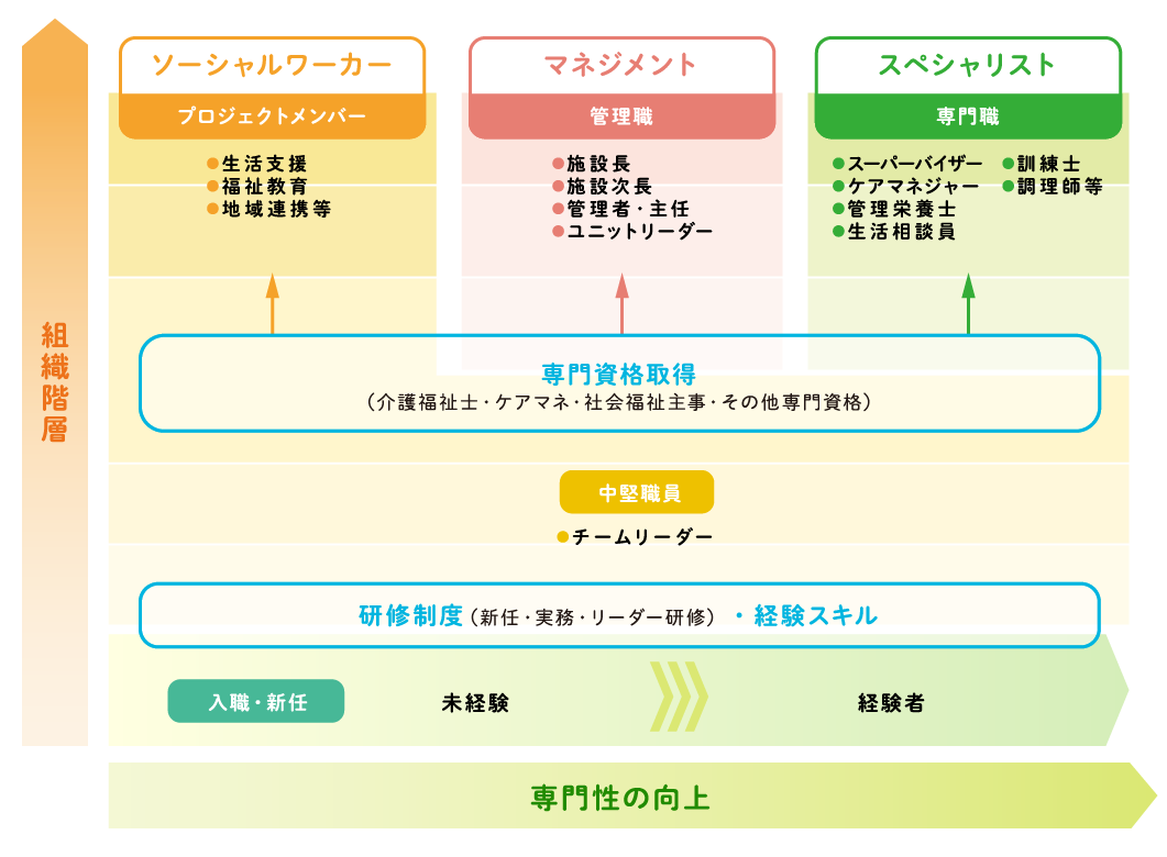 キャリアパスと福利厚生